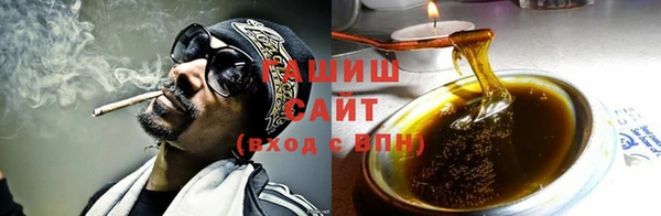шишки Коряжма