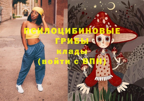 PSILOCYBIN Козельск