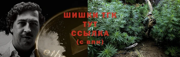PSILOCYBIN Козельск